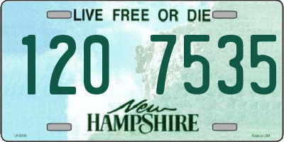 NH license plate 1207535