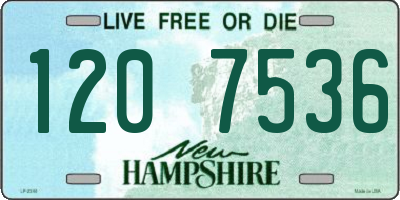 NH license plate 1207536