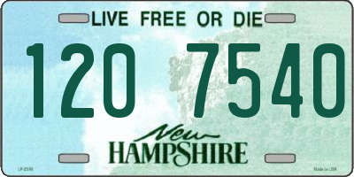 NH license plate 1207540