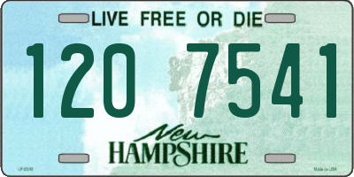 NH license plate 1207541
