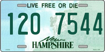 NH license plate 1207544