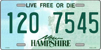 NH license plate 1207545