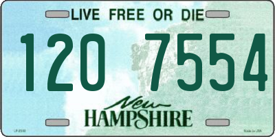 NH license plate 1207554