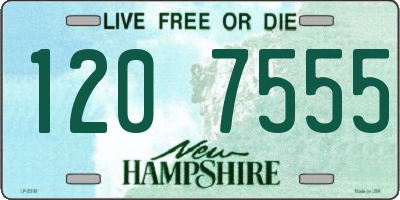 NH license plate 1207555
