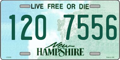 NH license plate 1207556