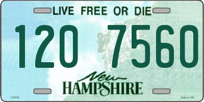 NH license plate 1207560