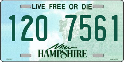 NH license plate 1207561