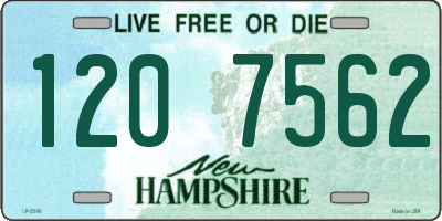 NH license plate 1207562