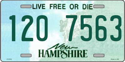 NH license plate 1207563