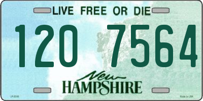 NH license plate 1207564