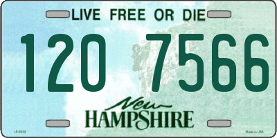 NH license plate 1207566