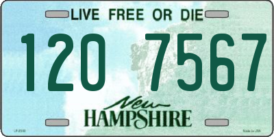 NH license plate 1207567
