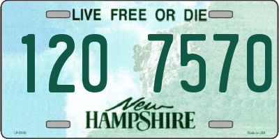 NH license plate 1207570