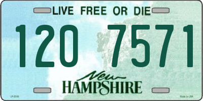 NH license plate 1207571