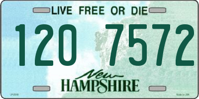 NH license plate 1207572