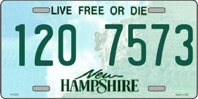 NH license plate 1207573