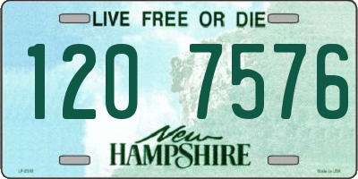 NH license plate 1207576