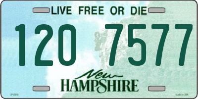 NH license plate 1207577