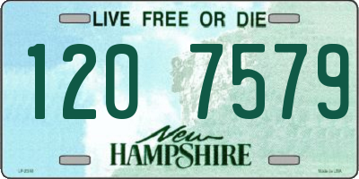NH license plate 1207579