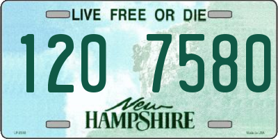 NH license plate 1207580