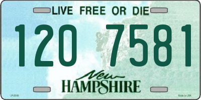 NH license plate 1207581