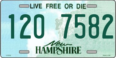 NH license plate 1207582