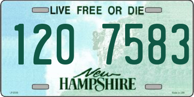 NH license plate 1207583