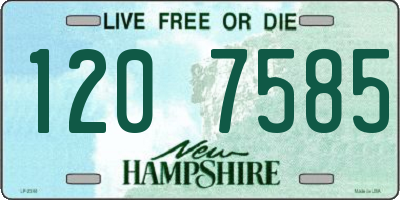 NH license plate 1207585