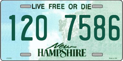 NH license plate 1207586