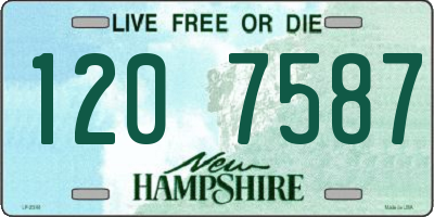 NH license plate 1207587