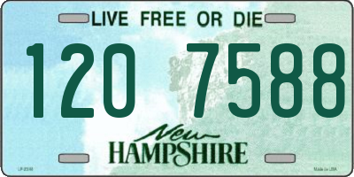 NH license plate 1207588