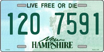 NH license plate 1207591