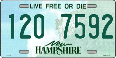 NH license plate 1207592