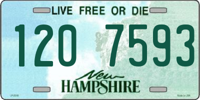 NH license plate 1207593