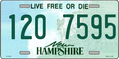 NH license plate 1207595