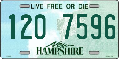 NH license plate 1207596