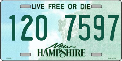 NH license plate 1207597