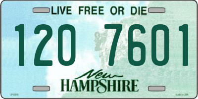 NH license plate 1207601