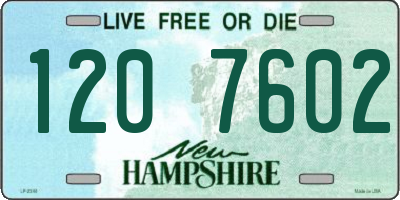 NH license plate 1207602