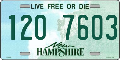 NH license plate 1207603