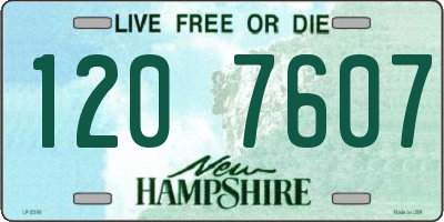 NH license plate 1207607