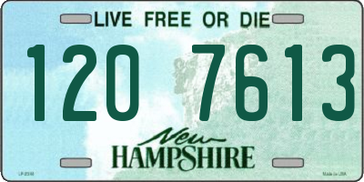 NH license plate 1207613
