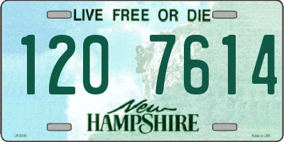 NH license plate 1207614