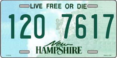 NH license plate 1207617