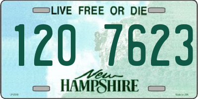 NH license plate 1207623
