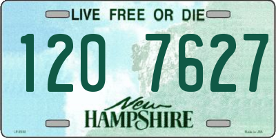 NH license plate 1207627