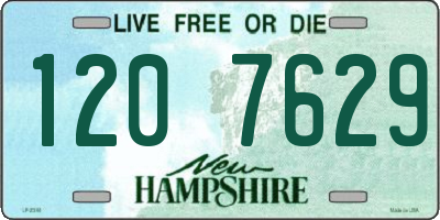NH license plate 1207629