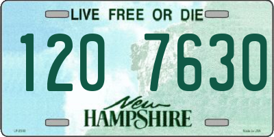 NH license plate 1207630