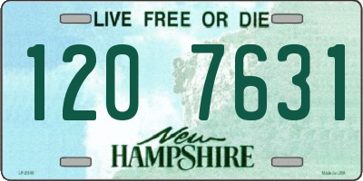 NH license plate 1207631