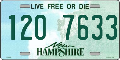 NH license plate 1207633